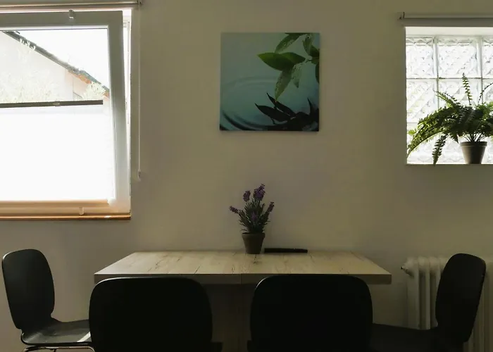 Lejlighed Kleiner Elefant Ettlingen